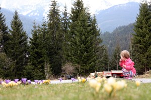 Catharina nimmt die Krokuswiese unter die Lupe