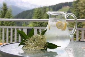 Hollersaft nach Großmutters Art