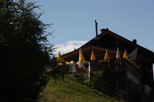 Moosalm 