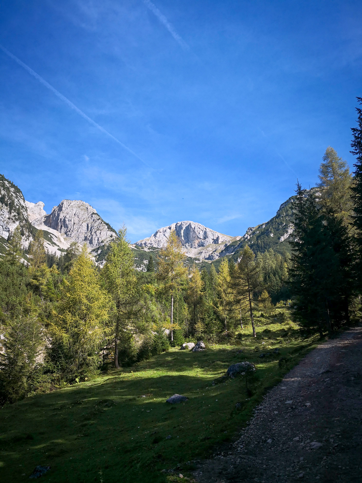 Am Weg hinauf zur Lärchbodenalm