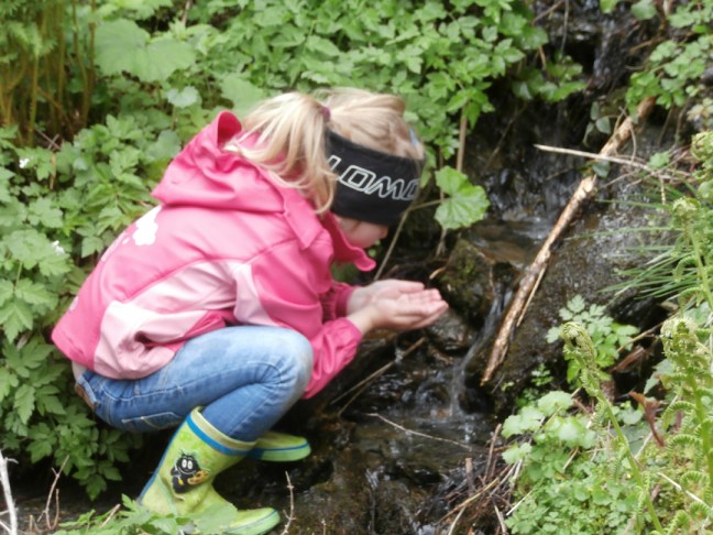 frisches Wasser aus einer Bergquelle am Rossbrand in Filzmoos