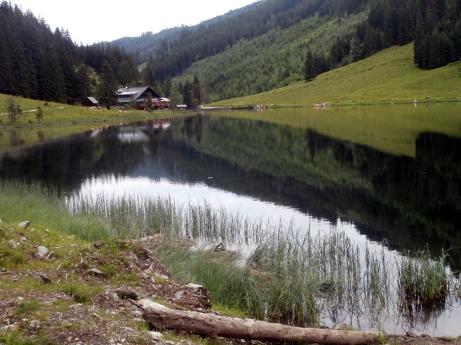 Naturschutzgebiet Steirischer Bodensee
