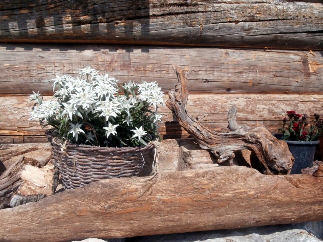 Blumenschmuck auf der Spießalm im Lammertal