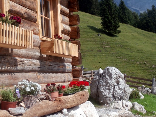 Blumen auf der Spiessalm