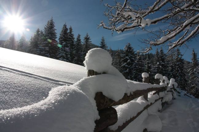 Mit den Schneeschuhen in die herrliche Winterwelt von Filzmoos