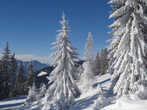 herrliche Winterwelt in Filzmoos