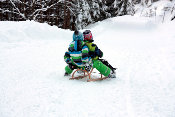 Rodelbahn Kleinbergalm