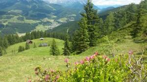 Blick von der Karalm