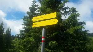 Wanderung zum Rossbrand über die Grubalm