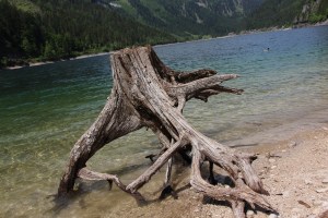Am herrlichen Gosausee