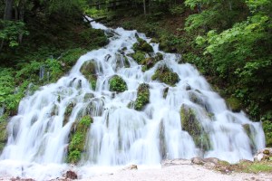 Zufluss zum Gosausee im Mai