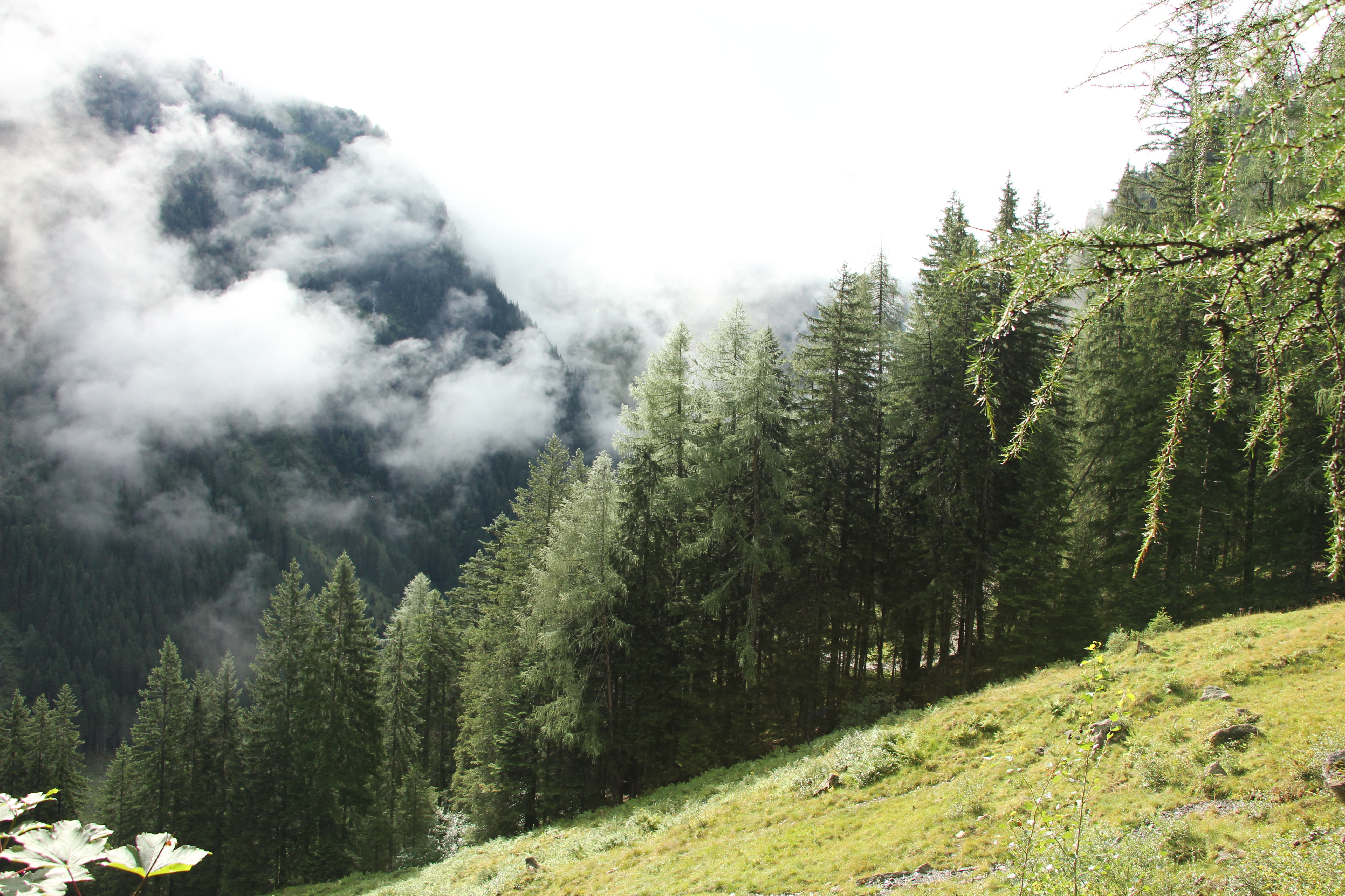 Am Weg zum Duisitzkarsee