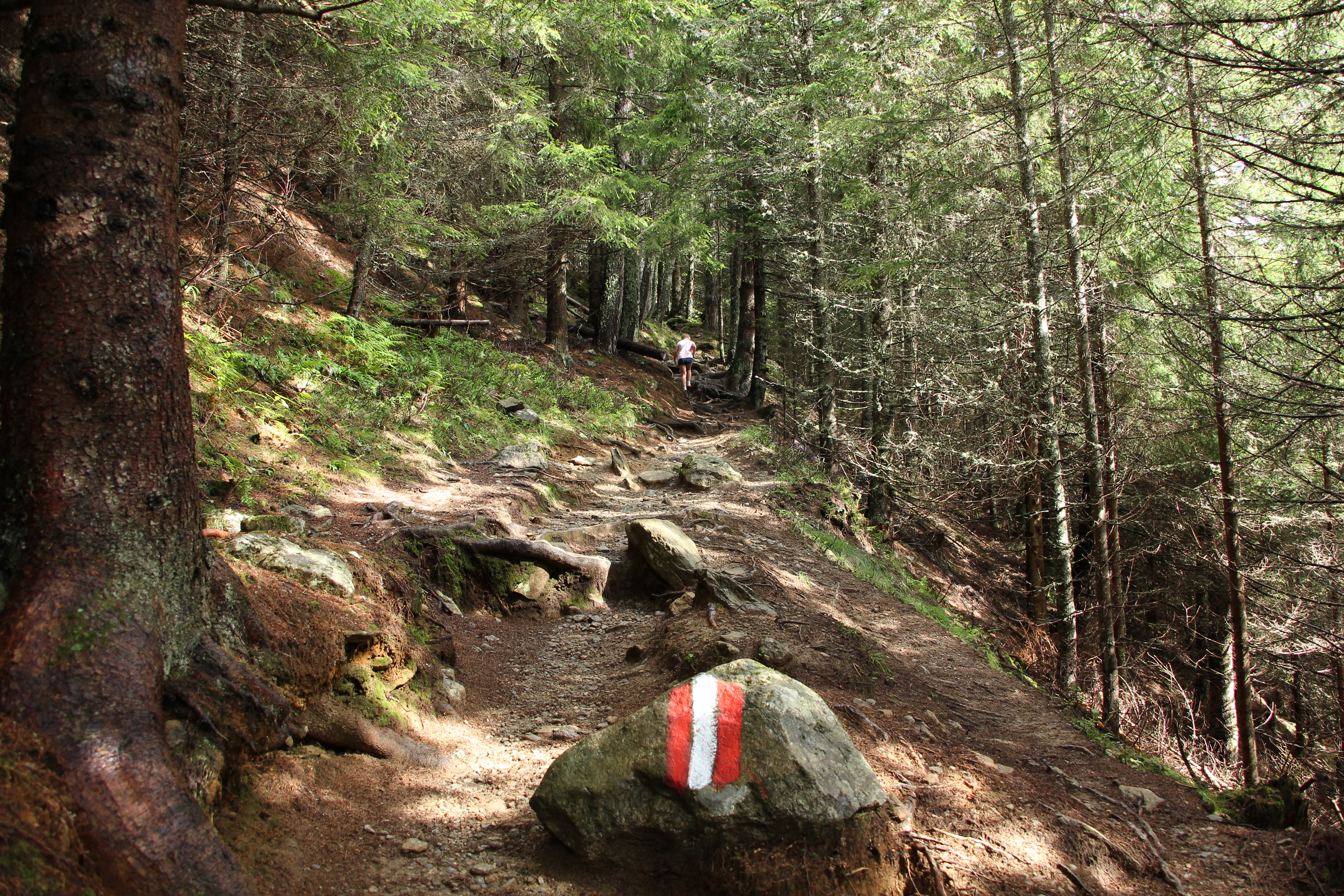 Steiler Anstieg zum Duisitzkarsee