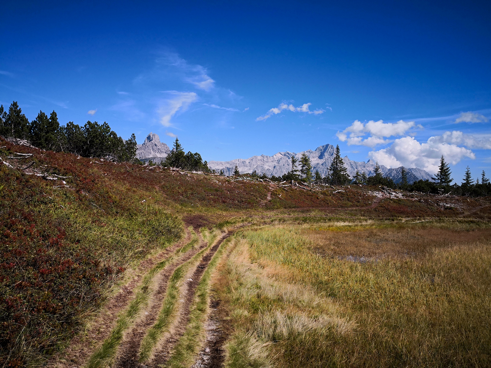 Eintauchen in die wunderschöne Herbstlandschaft
