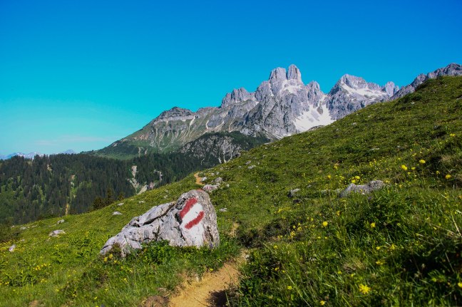 Die markante Bischofsmütze ist die wohlwollende Königin