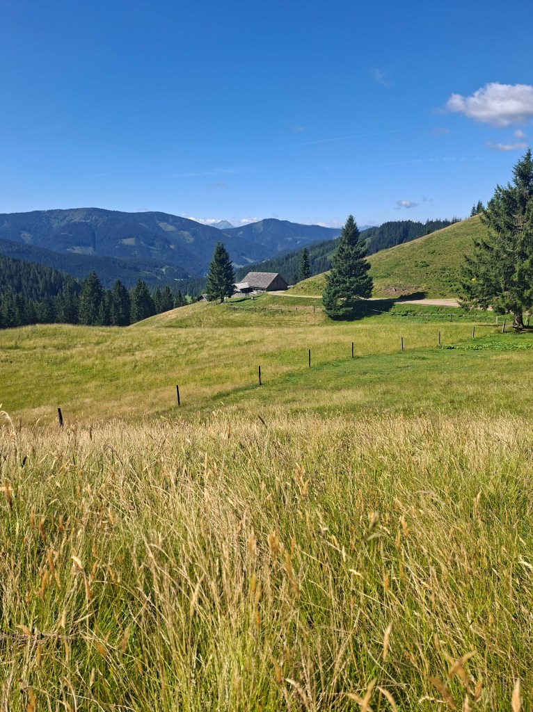 Blick auf die idyllische Arzbergalm