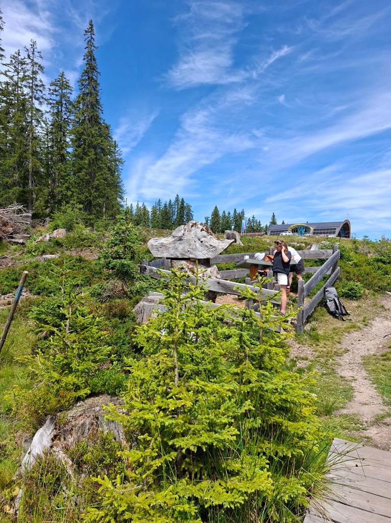 FILZ & MOOR Familienrundweg an der Bergstation Papagenobahn