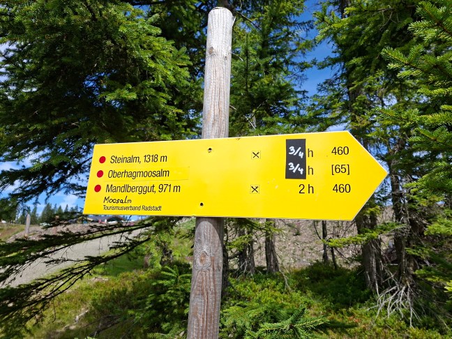 Almwandern ab der Bergstation Papagenobahn